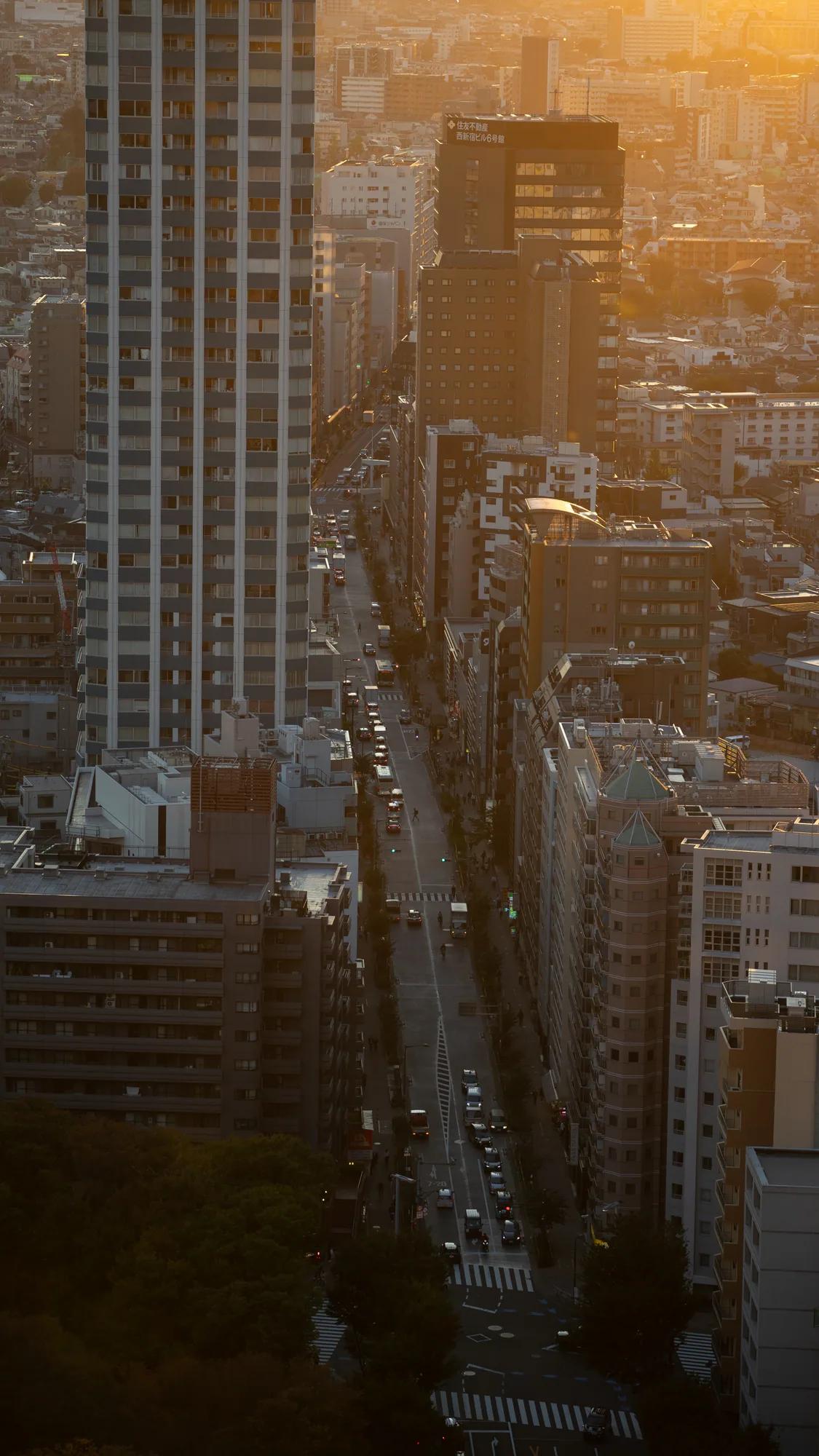 Long road between densely packed buildings in Tokyo's golden evening light