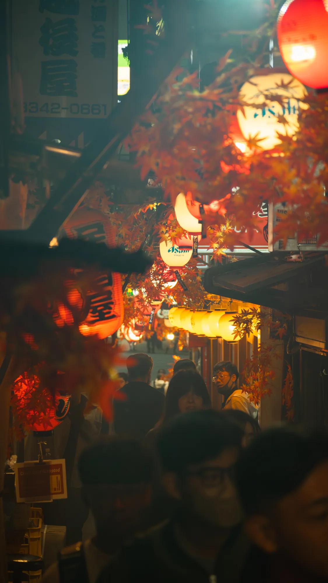Crowded Tokyo alley with pedestrians, red leaves and glowing paper lanterns
