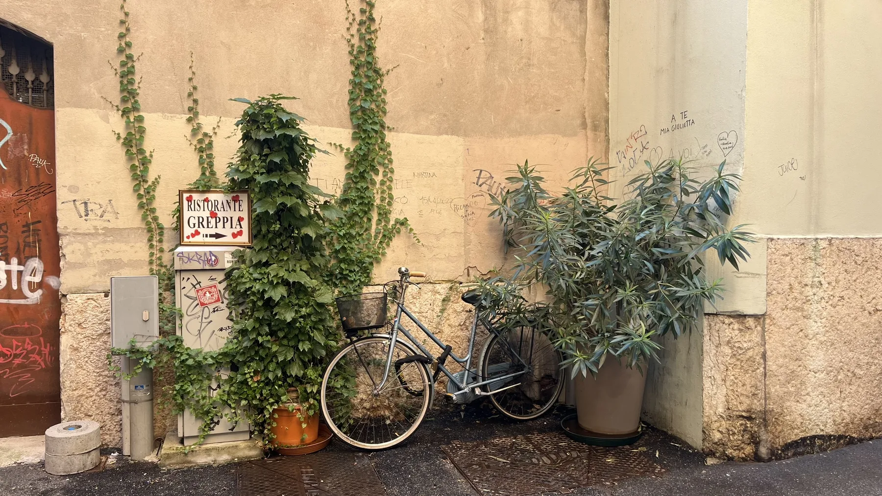 Fahrrad zwischen Pflanzen und verwitterten Wänden in einer Gasse in Verona